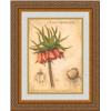 Image 1 : "Crown Imperial Lily" Meg Page