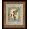 Image 1 : "Fern I" Tara Green