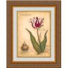 Image 1 : "Estella Rijnveld Tulip" Meg Page