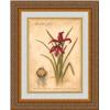 Image 1 : "Jacobean Lily" Meg Page