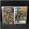 Image 1 : LOT OF 2 TEENAGE MUTANT NINJA TURTLES COMICS - ARCHIE COMICS