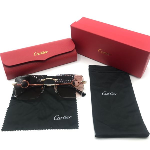 DESIGNER INSPIRED SUNGLASSES WITH ACCESSORIES