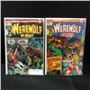 Image 1 : LOT OF 2 WEREWOLF BY NIGHT COMICS #7 & #10 1ST COMMITEE - MARVEL COMICS