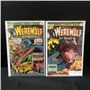 Image 1 : LOT OF 2 WEREWOLF BY NIGHT COMICS #35-36 - MARVEL COMICS