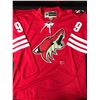 Image 3 : WAYNE GRETZKY SIGNED PHOENIX COYOTES CUSTOM HOCKEY JERSEY (ACE COA)