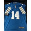 Image 3 : AMON RA ST BROWN SIGNED CUSTOM FOOTBALL JERSEY - ACE COA