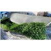 Image 2 : 3 PALLETS OF ASSORTED COMMERCIAL 'ASTRO' STYLE TURF CUT END ROLLS *MUST TAKE ALL*