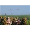 Image 3 : 4-Day Argentina Duck Hunt for Two (2) Hunters