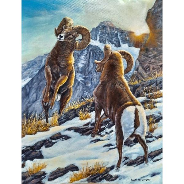 “Battle at Sundown” Bighorn Sheep Original Oil Painting by Dan Andrews