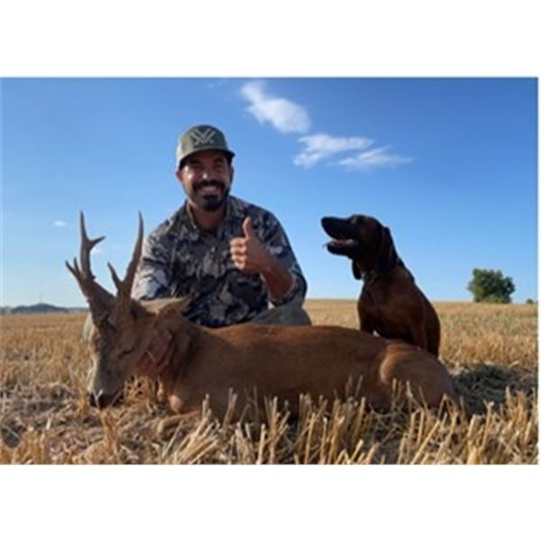 Spanish Roe Deer Hunt and Tasting Experience