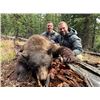 Image 1 : Colorado Wilderness Drop Camp Rifle Bear Hunt for 2 Hunters