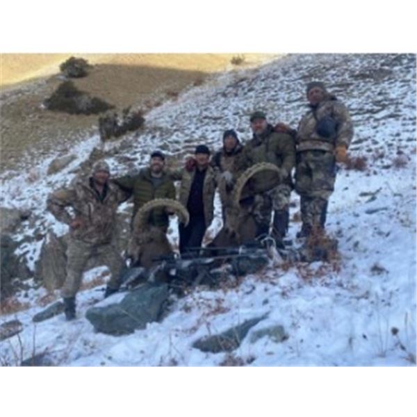 10-day Tajikistan Mid-Asian Ibex Hunt