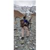 Image 3 : 10-day Tajikistan Mid-Asian Ibex Hunt