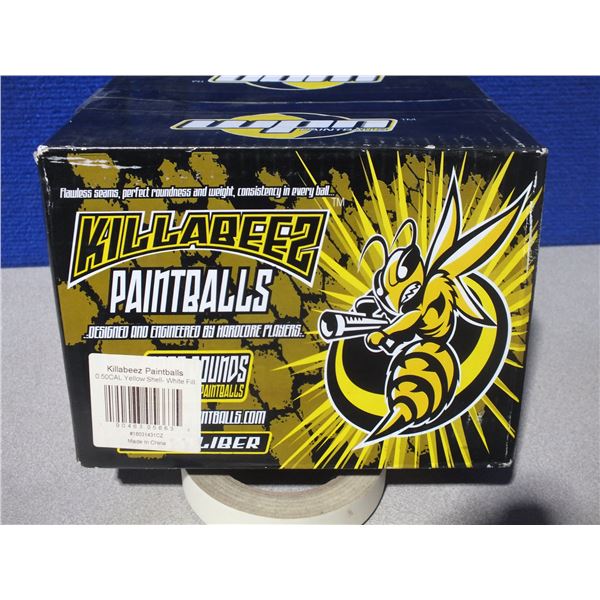 1 Box Of Paint Balls