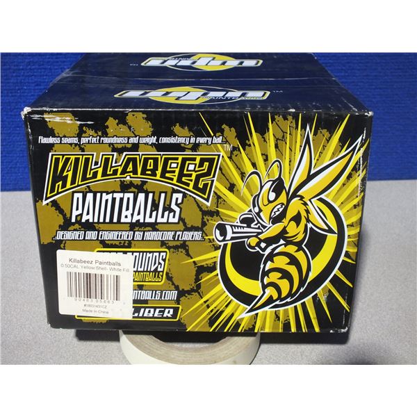 1 Box Of Paint Balls