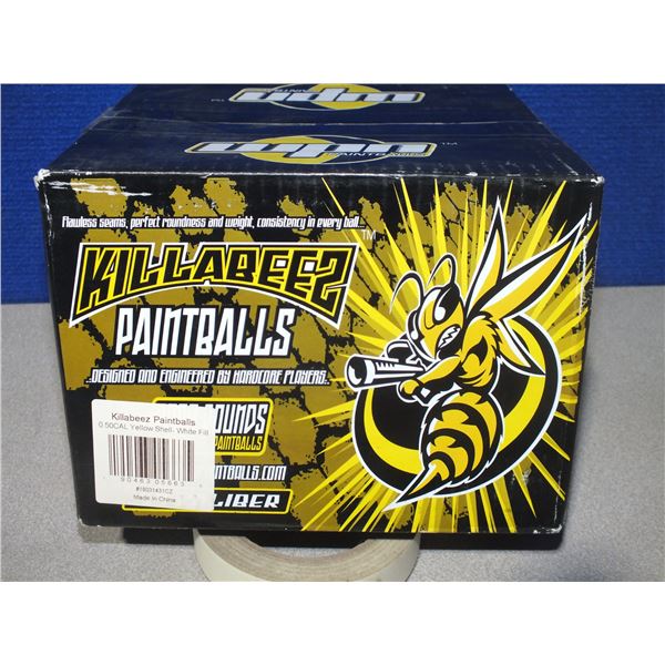 1 Box Of Paint Balls