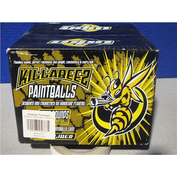 1 Box Of Paint Balls