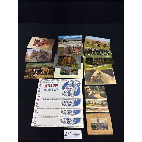 12 Vintage Horse Postcards, 3 Mini Postcards of Celebrities Homes, Vintage Package of Mini Quebec Ph