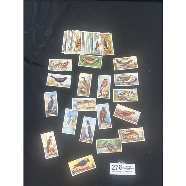 Near Set (48 of 50) Vintage Imperial Tobacco Cigarette Cards "British Birds" They are Fragile Push O