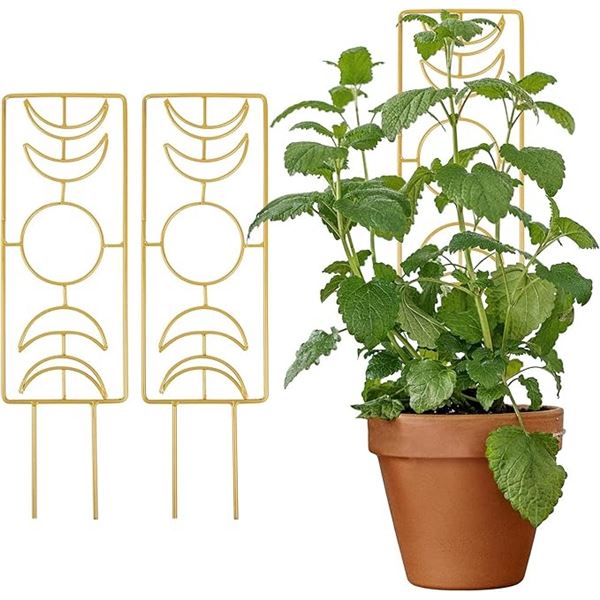 Lot of 6 Metal Plant Trellis for Indoor Plants - 14-Inch Small Trellis for Potted Plants (Gold) New