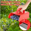 Image 6 : 2-Pack Berry Pickers/Berry Rake Scoops - Extra Wide w/ Ergonomic Handle for Berry Picking - New