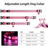 Image 10 : 4 Masbrill LED Light-Up Dog Collars - Rechargeable/Rainproof Super-Bright Design (Size S - Pink) New
