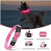 Image 6 : 4 Masbrill LED Light-Up Dog Collars - Rechargeable/Rainproof Super-Bright Design (Size S - Pink) New
