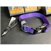 Image 2 : 4 Masbrill LED Light-Up Dog Collars - Rechargeable/Rainproof Super-Bright Design (Size S - Purple)