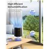 Image 5 : Household Dehumidifier w/ 7-Color LED Light (750ml Tank) Ultra-Quiet, Auto-Off, Energy-Efficient New