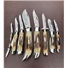 Image 1 : 1977 Case XX Blue Scroll Stag Pocket Knife Set