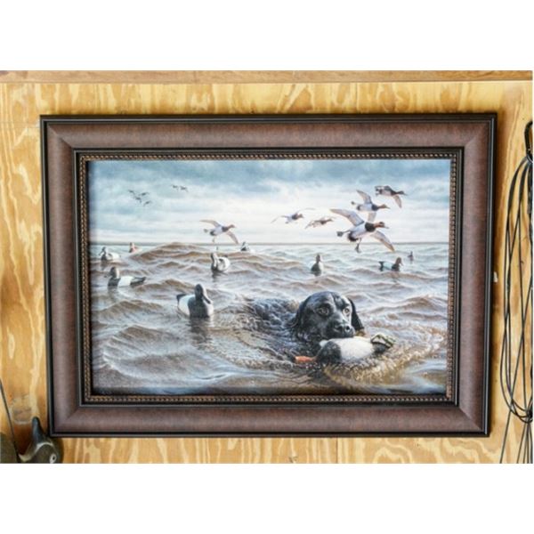 "Magical Morning" by Greg Alexander