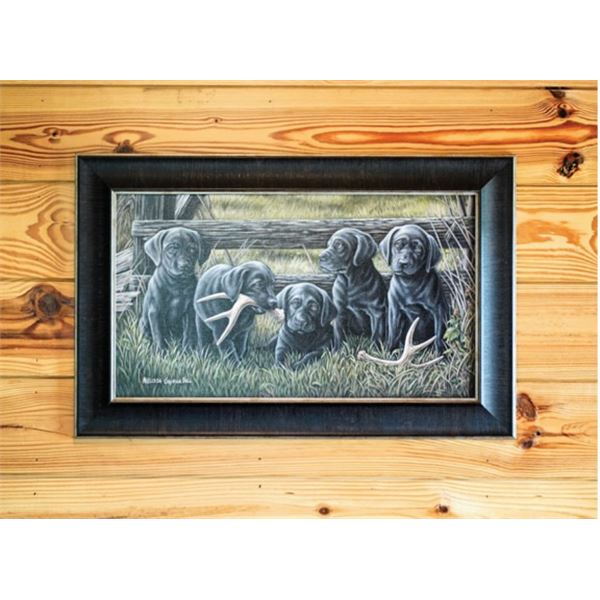 "Little Shed Hunters"by Melissa Ball