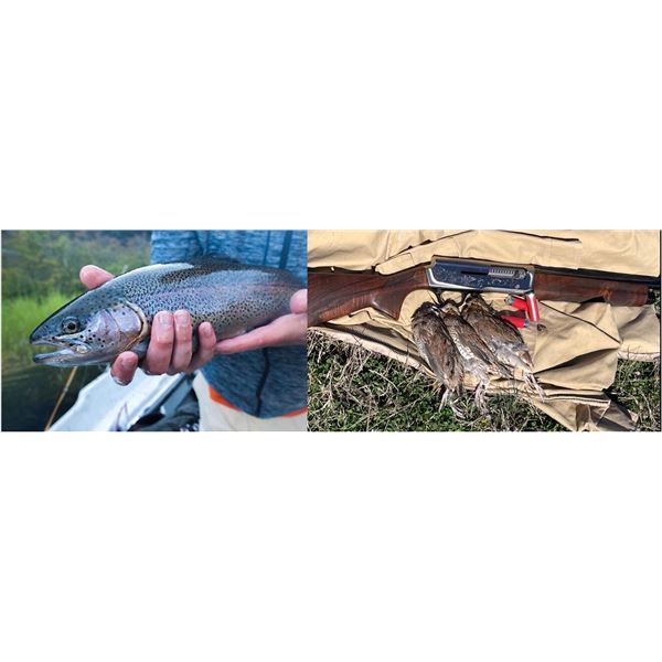 Quail Hunting and Trout Fishing at Dunaway Hunting & Fishing Club for Two People! With Lunch!