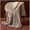 Image 1 : Templecot Heated Throw 50 in x 60 in (Racoon Design)
