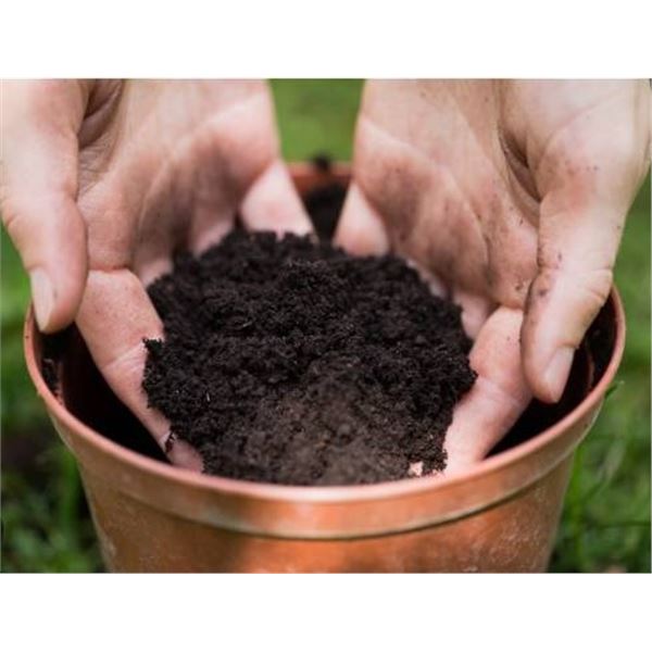 Premium 100% Organic Potting Soil – 85L Volume