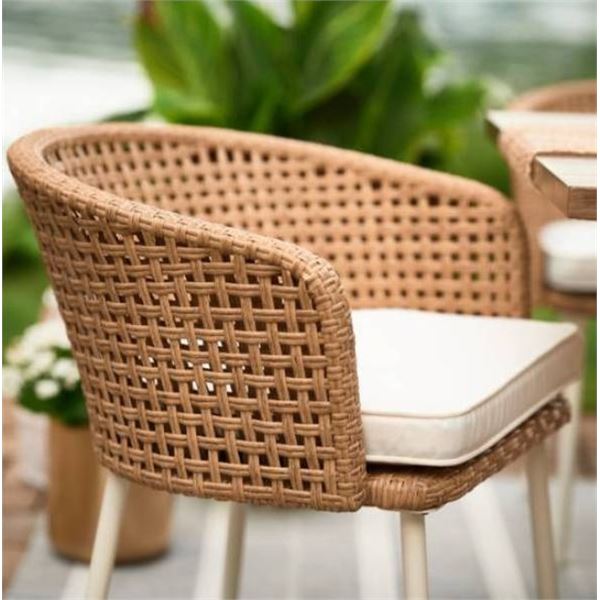 Allen + Roth Costal Set of 2 Dining Chairs Only