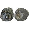 Image 1 : IONIA: Erythrai, AR hemiobol (0.44g), ca. 500-480 BC, VF