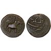 Image 1 : MYSORE: Tipu Sultan, 1782-1799, AE paisa (zohra), (11.34g), Kalikut, AM1215, F-VF