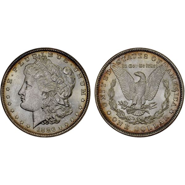 UNITED STATES: AR dollar (26.73g), 1886, Unc