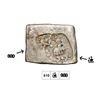 Image 1 : India, Magadha Janapada, Eastern Ganga Plains (c.200 BC), Silver Karshapana – Very Rare Typ