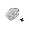 Image 1 : India, Saurashtra Janapada (c.450–300 BC), ¼ Silver Karshapana – Rare Type
