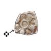 Image 1 : India, Panchala Janapadha (c.550–350 BC), Silver 1 Shana – Rare