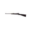 Image 2 : U.S. Springfield Armory Model 1884 Trapdoor Carbine