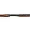 Image 13 : Beautifully Restored Winchester Model 63 Semi-Automatic Rifle