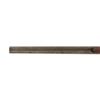 Image 17 : Colt Model 1883 Hammerless Side-by-Side Shotgun