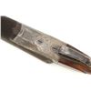 Image 20 : Colt Model 1883 Hammerless Side-by-Side Shotgun