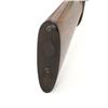 Image 21 : Colt Model 1883 Hammerless Side-by-Side Shotgun