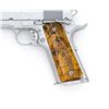 Image 5 : Colt Special Combat Government Model Semi-Automatic Pistol