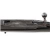 Image 14 : Remington-Lee Model 1899 Commercial Bolt Action Rifle
