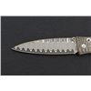 Image 3 : One of 100 William Henry Model B30 Archipelago Button Lock Folding Knife